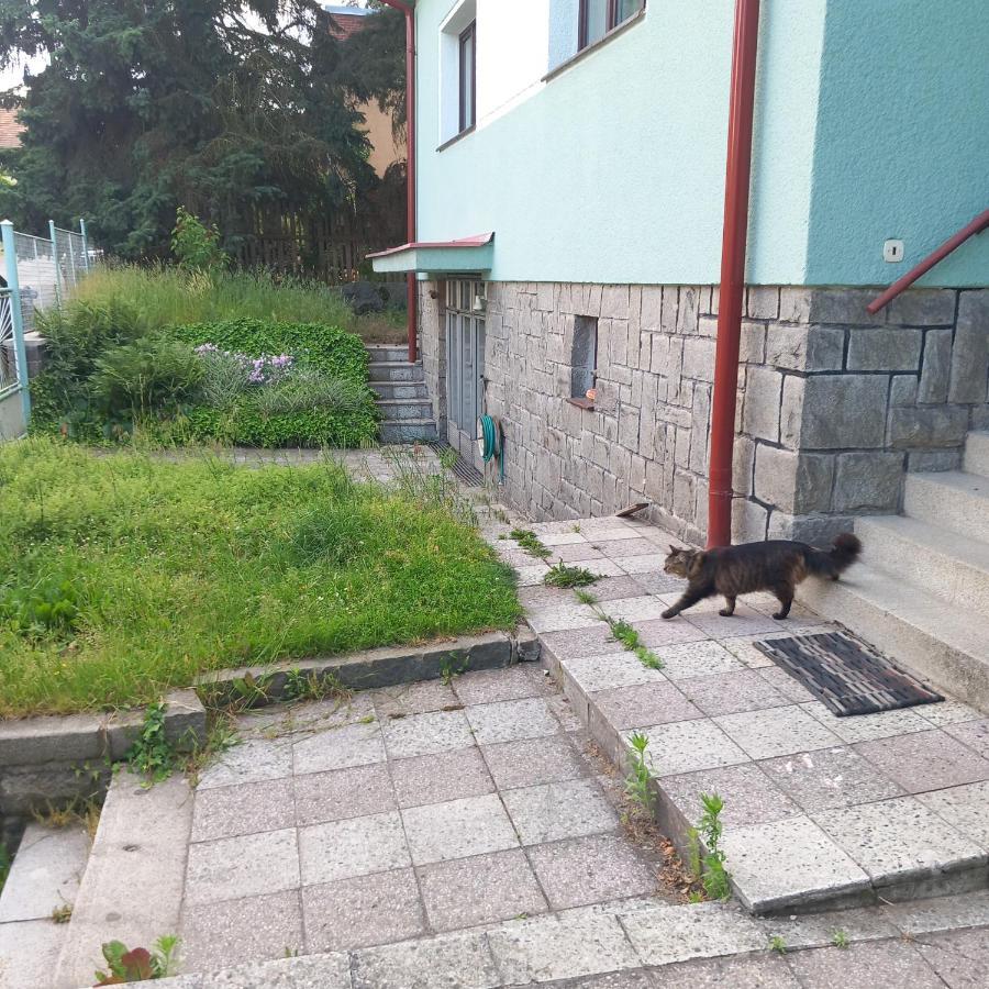Apartment In The City Of Pilsen Bozkov Buitenkant foto